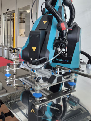 HORST bei Optiprint mit Sauggreifer